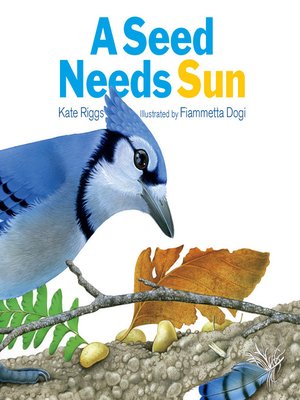 cover image of A Seed Needs Sun